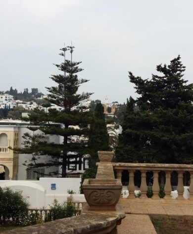 Villa Sidi Bou Saïd